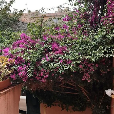 Typique 2 Etoiles Avec Clim